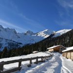 Voglia di montagna? Scoprite Ponte di Legno!