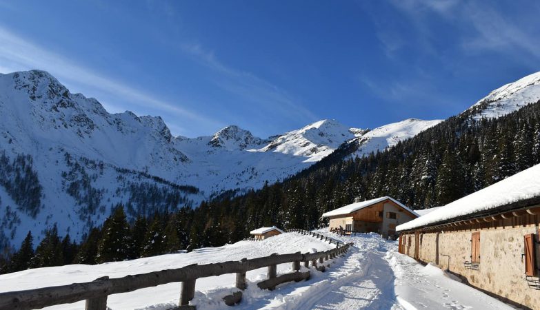 Voglia di montagna? Scoprite Ponte di Legno!