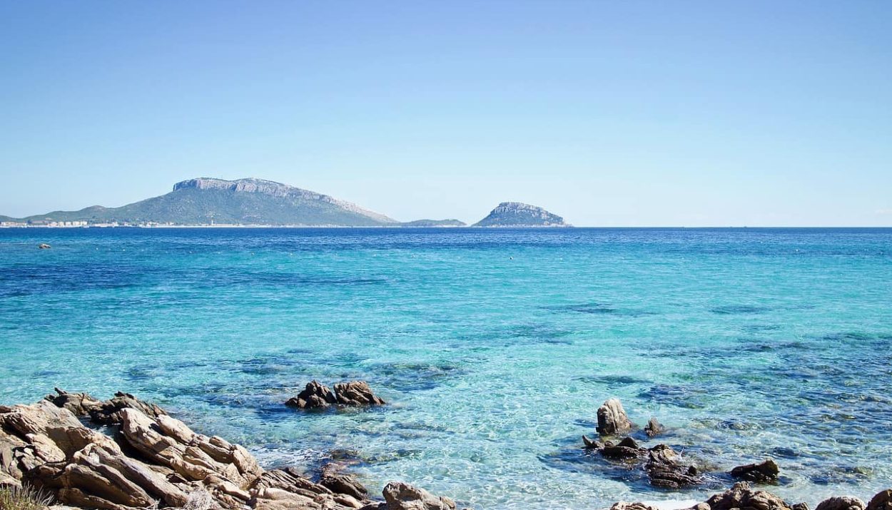 Amanti della natura? Scoprite la Sardegna selvaggia con una cartina dell’Asinara