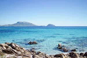 Amanti della natura? Scoprite la Sardegna selvaggia con una cartina dell’Asinara