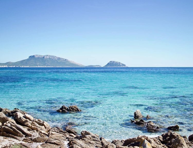 Amanti della natura? Scoprite la Sardegna selvaggia con una cartina dell’Asinara