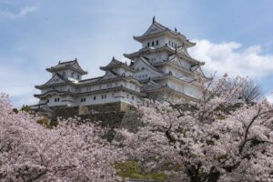 Fioritura dei ciliegi: la magia della primavera in Giappone